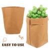 Sturdy Kraft Paper Storage Pouches Anti Leak for Sandwich Packaging Wedding Gifts Promotional Use Grocery Fruits Vegetables
