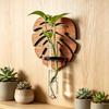 Minimalist Style Wall Mounted Plant Holder Plastic Tube Space Saving Green Plant Display Rack Hydroponic Plant Holder