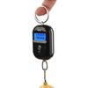 Portable Design Digital Hanging Scale 5g Precision LCD Backlight Scale  Luggage Travel