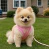 Adjustable Pet Dog Harness Leash Breathable Comfortable Dog Chest Strap with Butterfly Soft Dog Traction Rope Collar Daily Walk