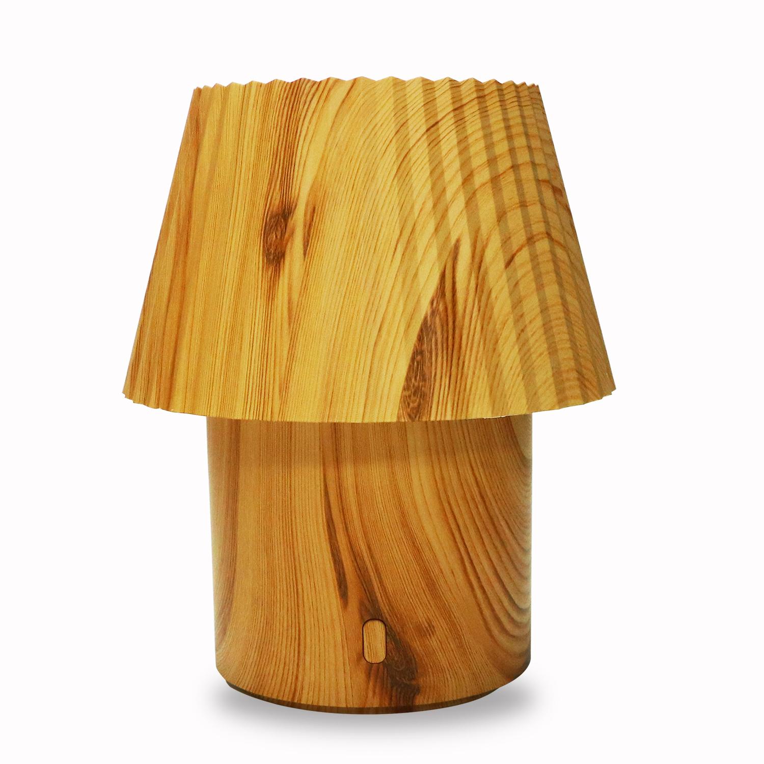 Mini Table Lamp Portable Diffuser,Mini  Humidifier,Air Humidifier, Decorative,light USB&5