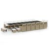 21 piece Garden Dining Set with Cushions Poly Rattan Beige