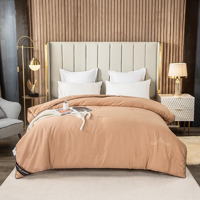 

Jinsili All-Season Mulberry Silk Blend Quilt