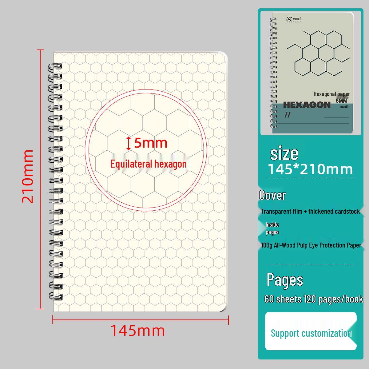 Reusable A4/A5 Hexagonal Molecular Graph Notebook for Chemistry and Biology Students