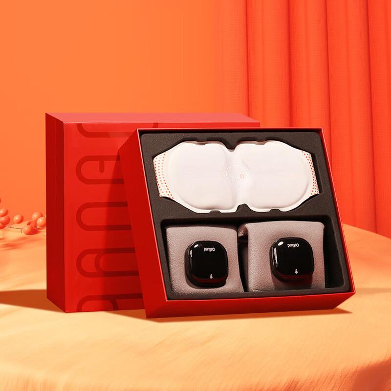 Pangao Waist & Knee Massager Set