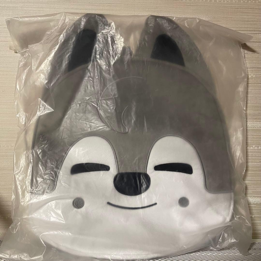 

[Б/У] Фан-обложка Stray Kids Бан Чан и Волк Чан