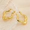2026 Irregular Earrings Women's Niche Thread Love Retro Temperament Fashion Earrings Ear Buckle