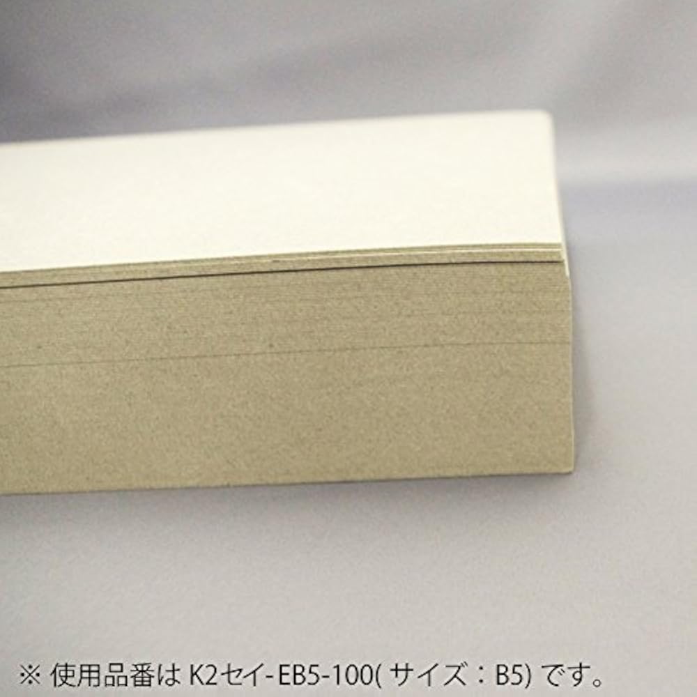 Kokuyo File Paperboard Cover K2 A3 100 Sheets K2 Sei-EA3-100