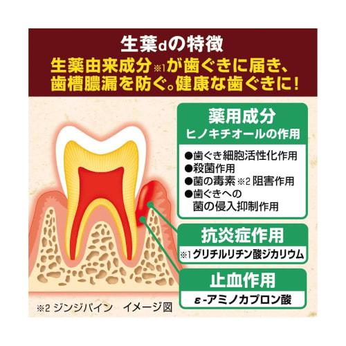 Shoyo Medicated Toothpaste, 10% More Strength, 110g, Set of 3. Prevents Pyorrhea, Accompanied by Swelling and Bleeding Gums. Contains Five Natural Pla