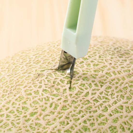 Łyżka do kopania owoców arbuza Twórz wspaniałe ekspozycje Oszczędzaj miejsce Ekologiczna łyżka do kopania owoców z materiału PP