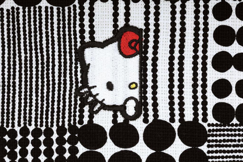 Pouch Small Item Case [Skater] KOUFP1-70282
