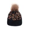2025 autumn and winter new wool hat Japanese leisure trend college style student warm leopard print knitted hat female Korean version