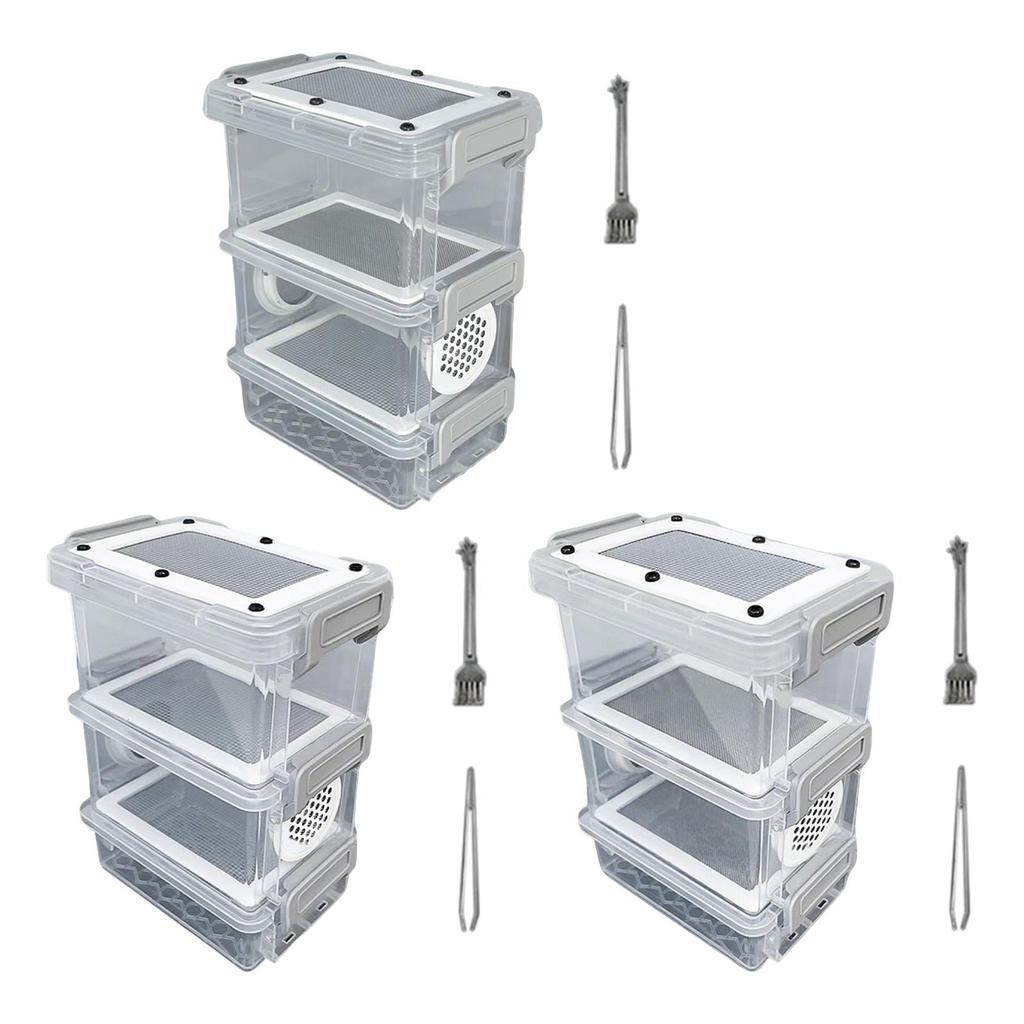 Scatola per Cibo Mini Grilli Plastica Acciaio Inossidabile Cassa di Allevamento Habitat Animale per Larve della Farina Scarafaggi e
