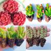 Decoração de casa – Flores e coroas artificiais
