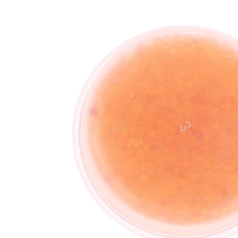 1/2Pcs Cochlear Hearing Aid Desiccant Dehumidifier Drying Capsules Pallet Accessories for Maintaining Device Moisture Levels