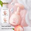 RUNBEN Little Peach Joy Foaming Hand Wash
