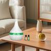 300ml USB Humidifier Diffuser, Compact Portable for Travel Small Rooms