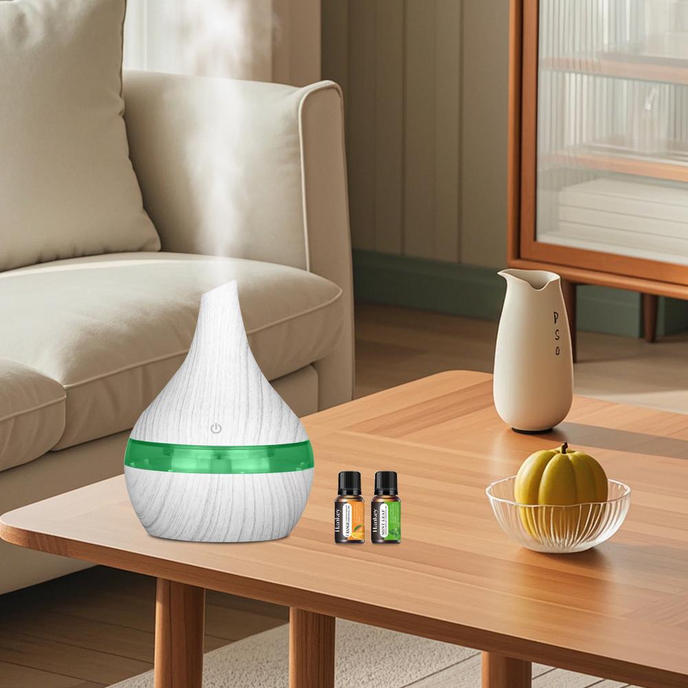 300ml USB Humidifier Diffuser, Compact Portable for Travel Small Rooms
