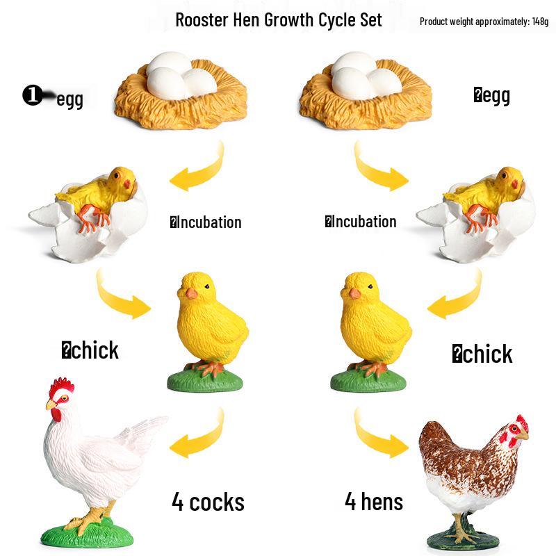 Cross-Border Animal Growth Cycle Model: Ladybug & Bee Educational Toy Set