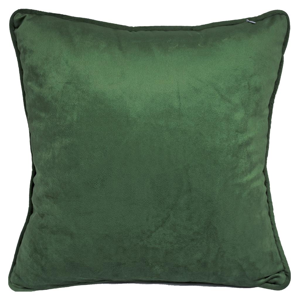 John James Audubon Carbonated Warbler Cushion