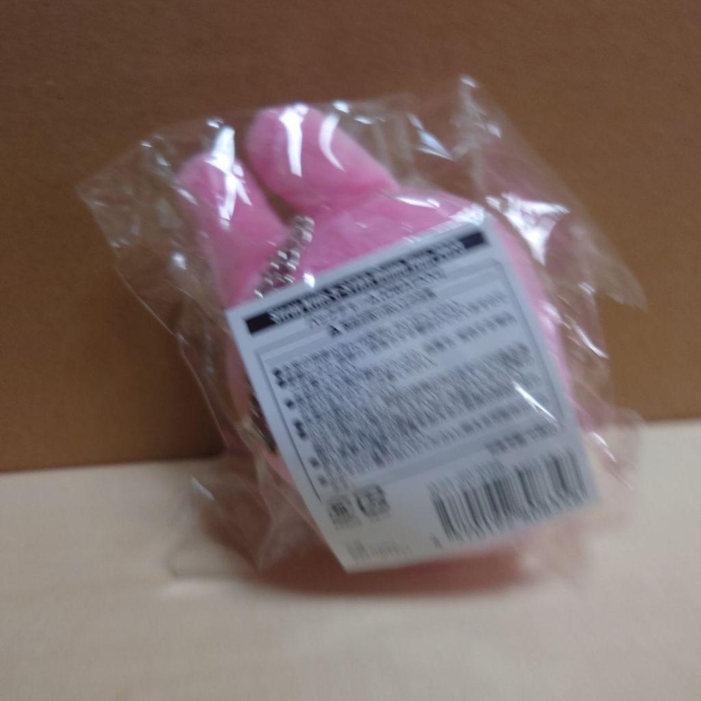 [USED] Stray Kids Touekki Back Charm