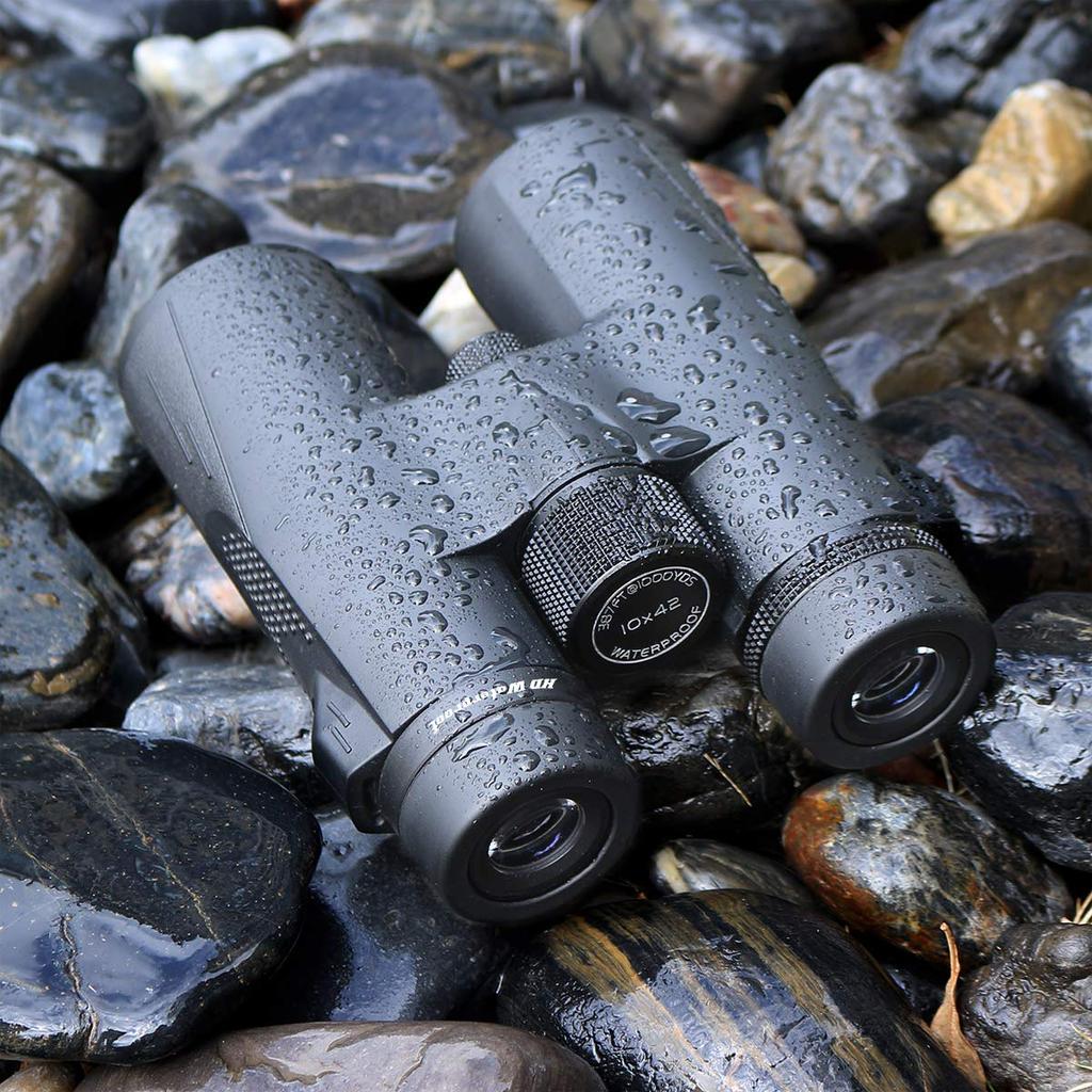 SVBONY SV47 10x 42mm High Bak4 FMC IPX7 Ideal for Nature Bird Fireworks Sports and Other Outdoor with Strap Included Binoculars, Aperture,