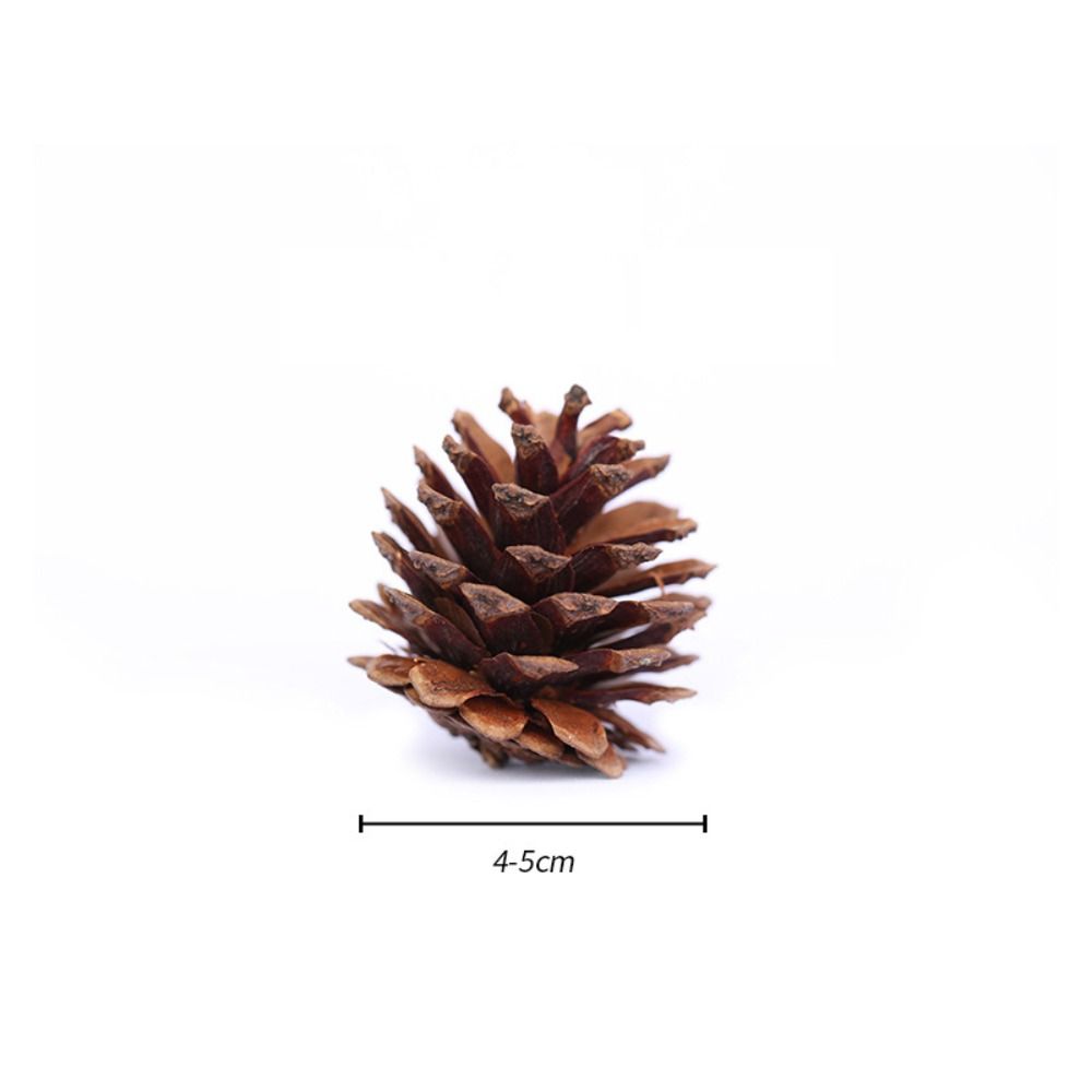 Wreath Western Food Plate Natural Pine Nut Artificial Flower Florist Decoration Wedding Decoration