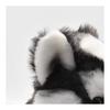 BH7512 HANSA Siberian Husky Pup 43