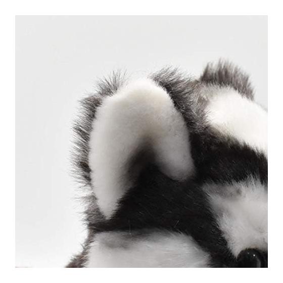 BH7512 HANSA Siberian Husky Pup 43
