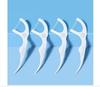 FAWNMUM Dental Floss Picks Bulk Pack