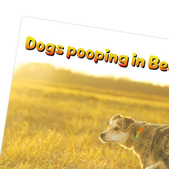 2026 Wall Calendar Dog Pooping/Angry Cat Calendar January 2026 - December 2026