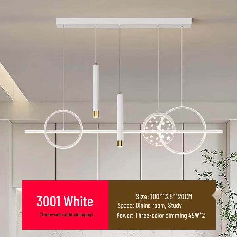 OEING Modern Minimalist Dimmable Light Fixture