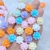 60 Stück Neu Süß 12mm Mini Kleine Blume Serie Harz Flache Rückseite Verzierungen Schmuckherstellung Maniküre Haarschmuck Zubehör