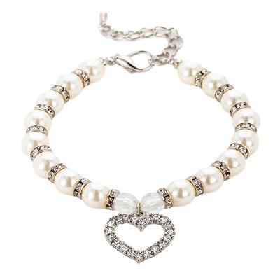 Köpek – Köpek Tasmaları ve Tasma Kayışları