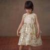 Hacikis Girls' Sequined Princess Tulle Dress