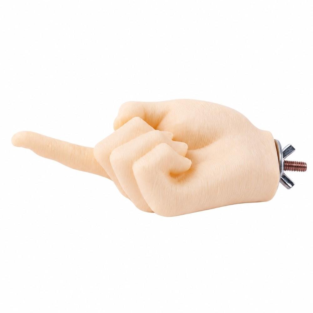Washable Parrot Bird Perch Stand Adult Hand Proportions Parrot Fake Hand Perch  Interactive Play