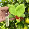 Lucky Pomelo Leaf Keychain Traditional Fortune Charm for Purse Backpack Evil Cleansing Home Car Decor Gift