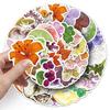 50 Plant Specimen Doodle Stickers: Creative Waterproof Floral Decoration for Phone Cases & Journals