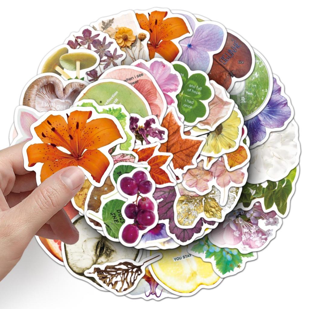50 Plant Specimen Doodle Stickers: Creative Waterproof Floral Decoration for Phone Cases & Journals