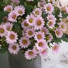Herbst Schöne Künstliche Blumen Seide Daisy DIY Haus Garten Party Hochzeit Dekoration Handwerk Herbst Weihnachten Günstige Gefälschte Pflanzen