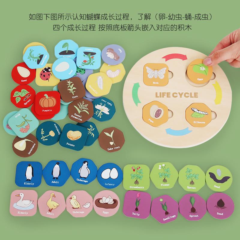 Children's Animal And Plant Growth Cycle Process Cognitive Baby Color Classification Matching Educational Toys