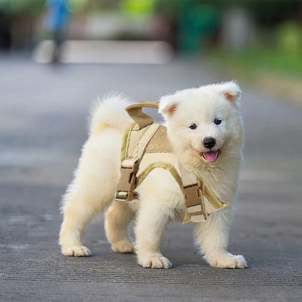 Adjustable Cat Harness Light Weight with Handle Kitten Vest Ventilate Escape-proof Small Dogs Harnesses