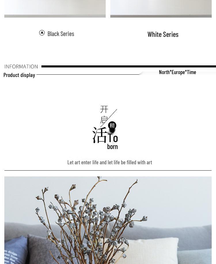 Vaso Preto Minimalista Nórdico - Branco Fosco, Decoração de Flores para Sala de Estar Pequena