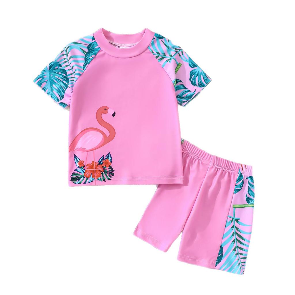 Girls' Summer Flamingo & Coconut Print Two-Piece Swimsuit Set