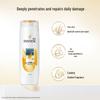Pantene PRO-V Anti-Dandruff & Repair Shampoo