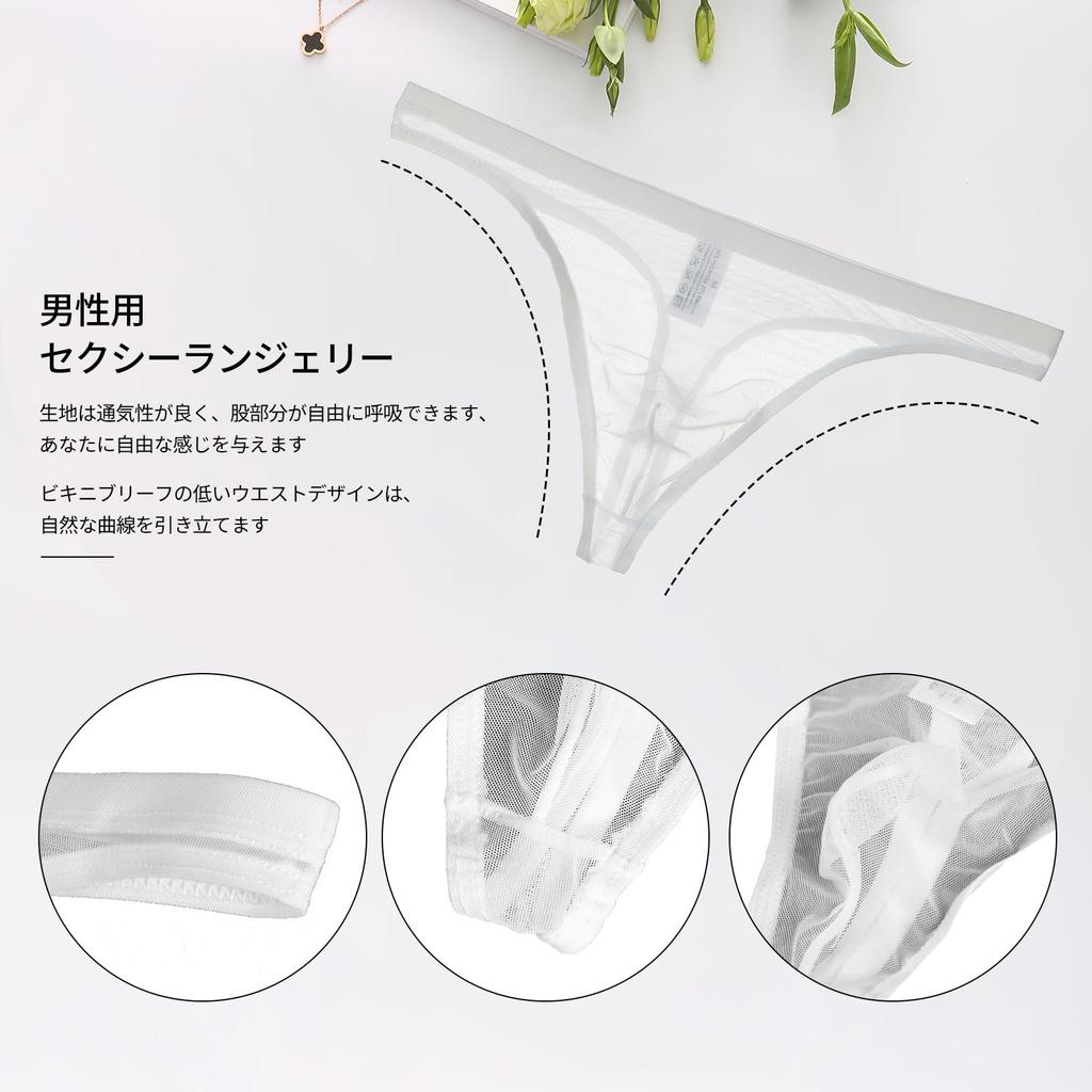 Amy Coulee Sheer Micro Mesh Sexy Lingerie Men's T-Back, Ultra-Thin (White, L)