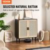 Armadio Contenitore in Rattan con 2 Ante Magnetiche e Ripiani Regolabili Nero