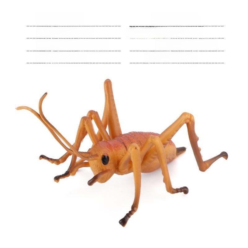 Insect Collectors Set With Pvc Wasps Ants Crickets Realistic Animal Models For Science Projects And Gifts