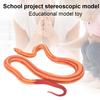 Corn Snake Simulation Model Ornaments Desktop Decoration Child Educational Toy