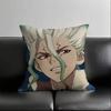 1Pc Anime Dr. Stone Pillow Case Fashion Square Pillowcase Bedroom Sofa Room Ins Decoration Leisure